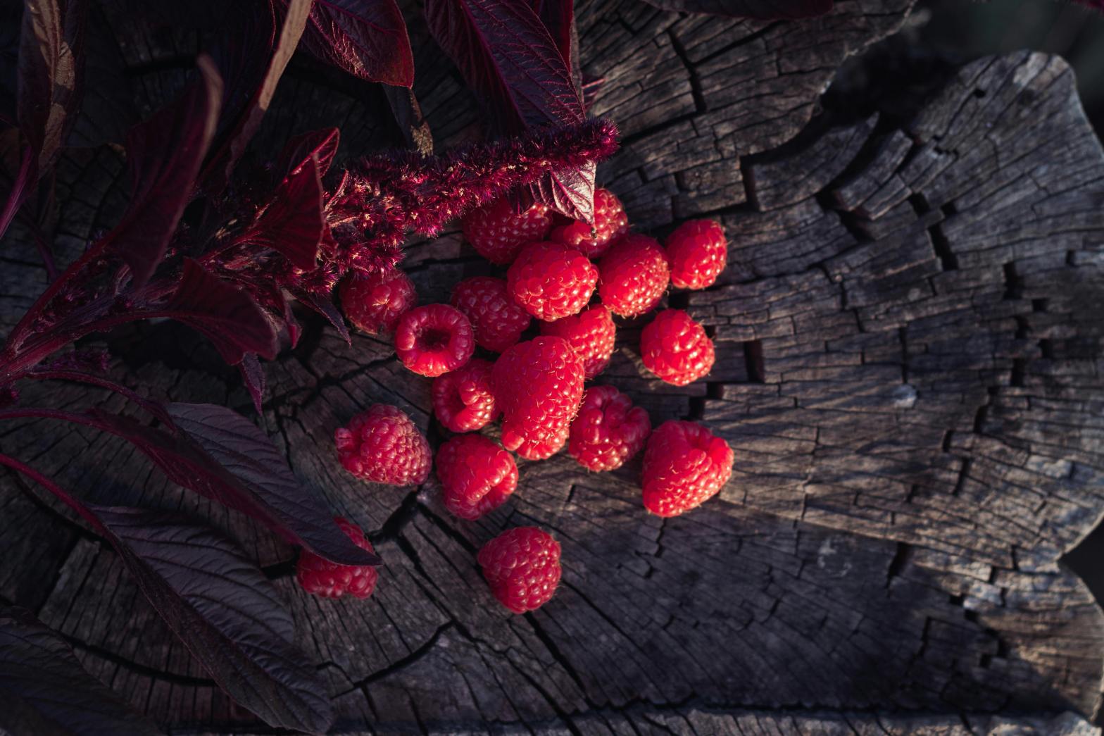 framboise sur une souche d'arbre