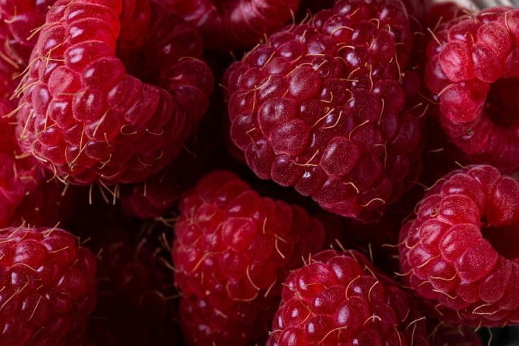 framboise en gros plan 